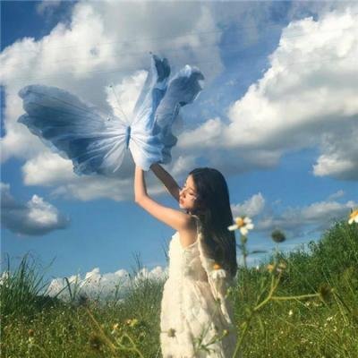 战天狼 海报